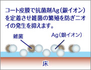 トイレの床に塗って乾かすだけの透明抗菌Agコーティング