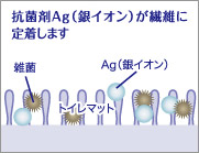 銀イオンが繊維に定着。抗菌・防臭効果が約1週間長続き。