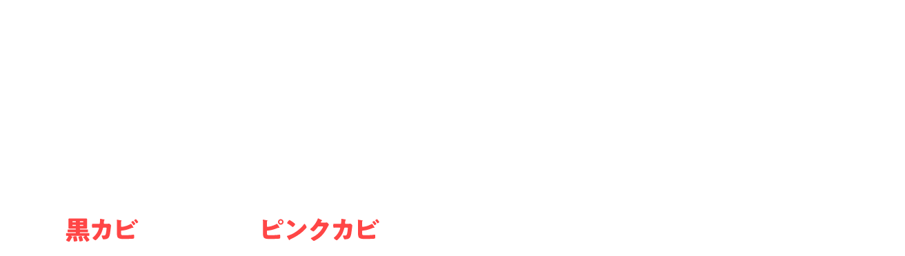 ウルトラハードクリーナー　カビ用ジェルスプレー 黒カビ ピンクカビ