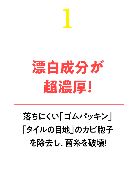 しつこいカビを徹底撃破！諦めていた落ちにくい「ゴムパッキン」「タイルの目地」のカビ胞子を除去し菌糸を破壊！