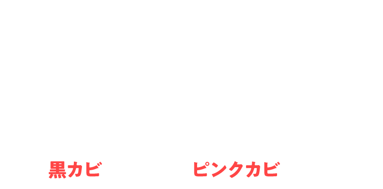 ウルトラハードクリーナー　カビ用