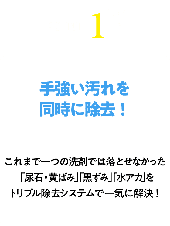 ダミーテキスト