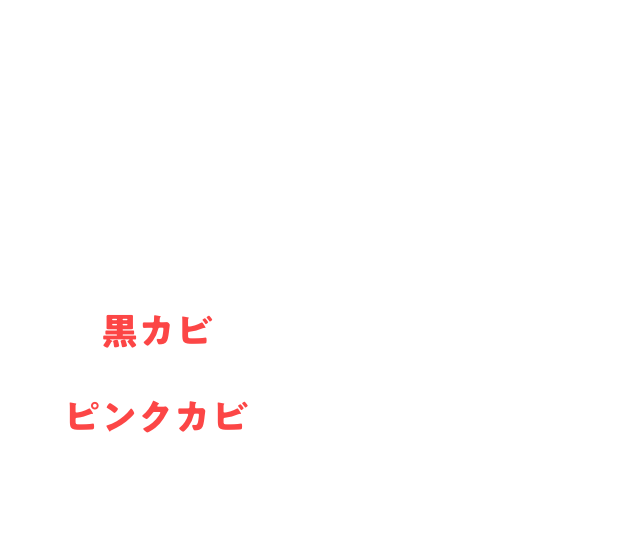 ウルトラハードクリーナー　カビ用ジェルスプレー 黒カビ ピンクカビ