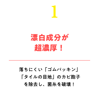 しつこいカビを徹底撃破！諦めていた落ちにくい「ゴムパッキン」「タイルの目地」のカビ胞子を除去し菌糸を破壊！