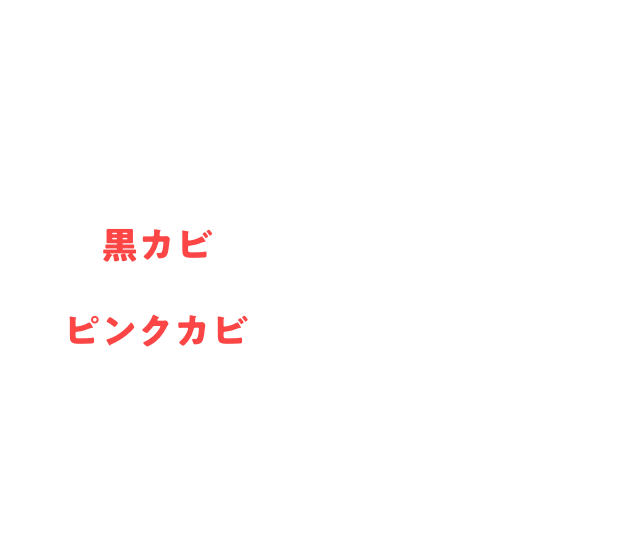 ウルトラハードクリーナー　カビ用