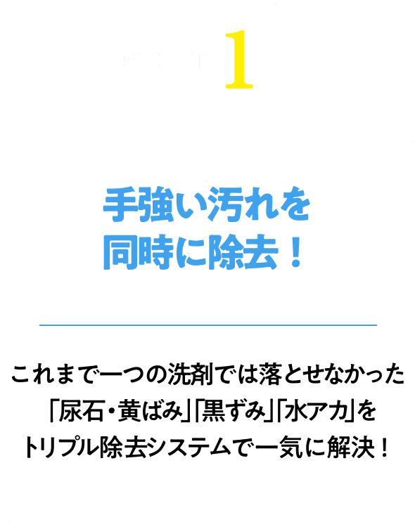 ダミーテキスト