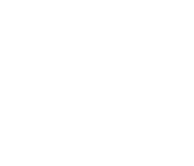 ウルトラハードクリーナー　トイレ用